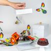 Birthday Celebration Explosion Bundle with Candy Kaboom, Picture 5