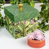 Mother's Day Garden Bundle, Picture 1