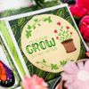 Mother's Day Garden Bundle, Picture 4