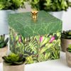 Plant Lovers Box, Picture 1