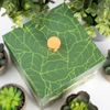 Plant Lovers Box, Picture 3