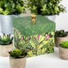 Plant Lovers Box