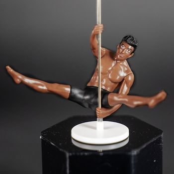 Picture of Deep-tone Male Companion Dancer