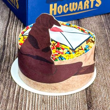 Picture of Harry Potter Chocolate Cake