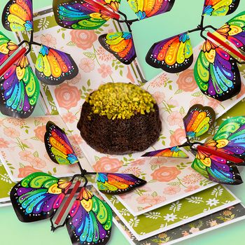 Picture of Flying Butterfly Surprise™, Picture 1