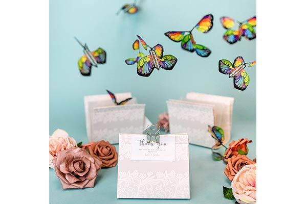 Flying Butterfly Experience - OLD