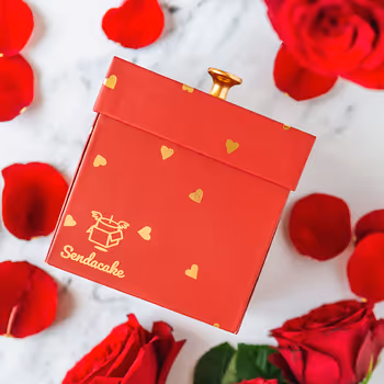 Love Bundle w/ Butterfly Surprise 💘