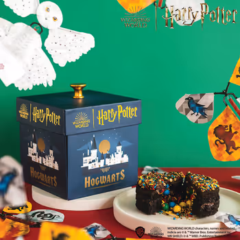 Harry Potter Hogwarts Explosion Box