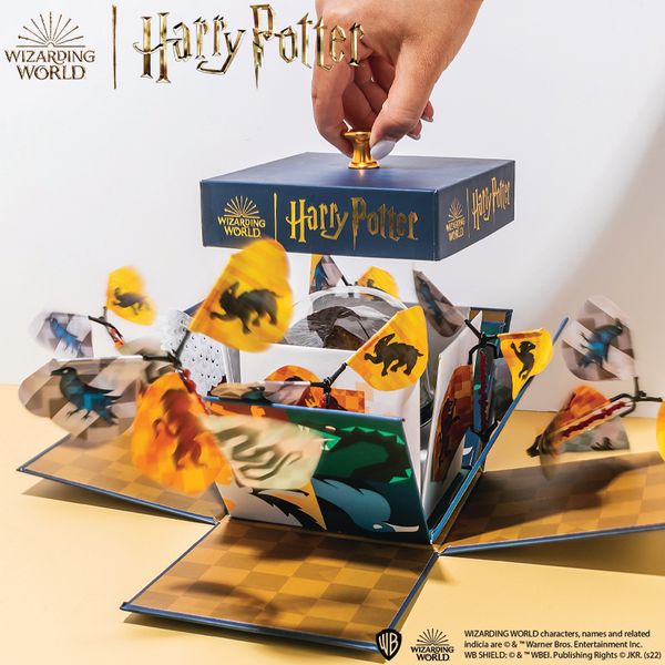 Harry Potter Hogwarts Explosion Box