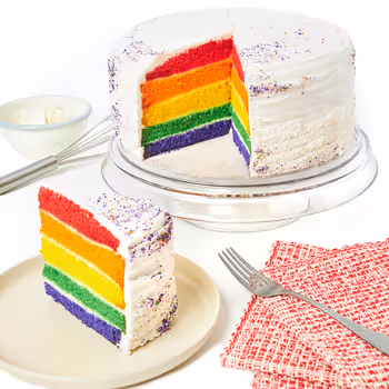Jumbo Rainbow Layer Cake