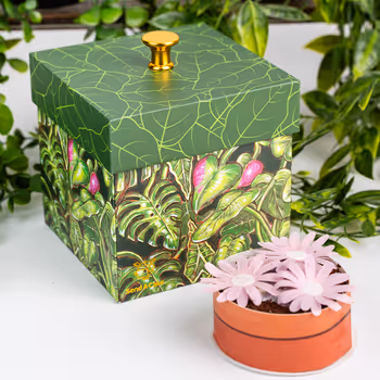 Mother's Day Garden Bundle