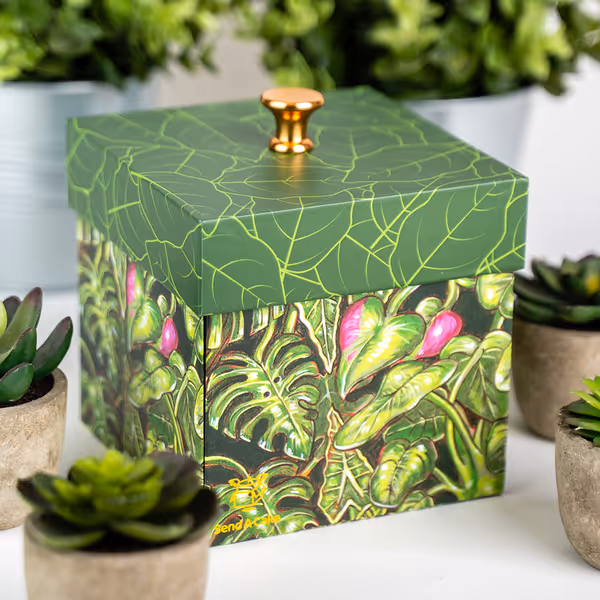 Plant Lovers Box