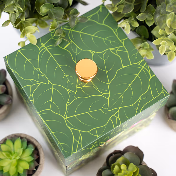 Plant Lovers Box
