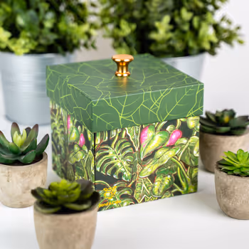 Plant Lovers Box