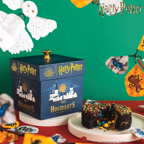 Harry Potter Hogwarts Explosion Box