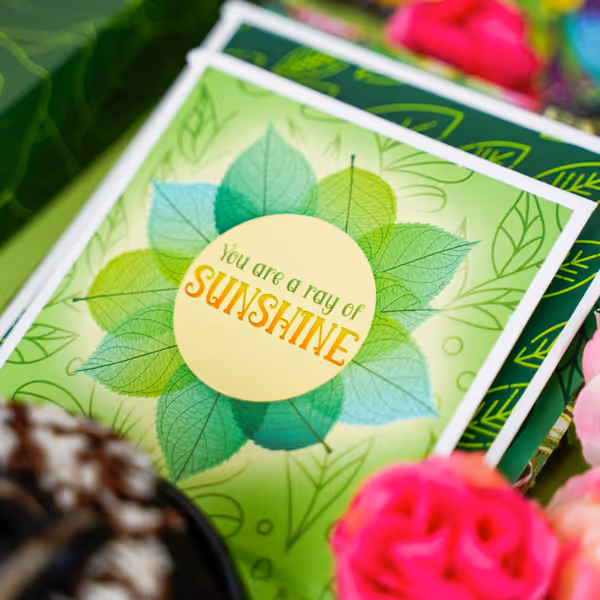 Plant Lovers Box