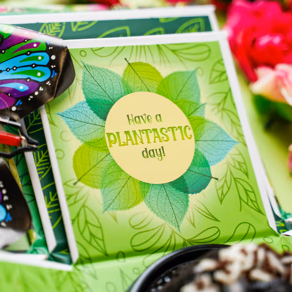 Plant Lovers Box