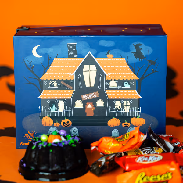 Haunted House Bat Surprise 🦇