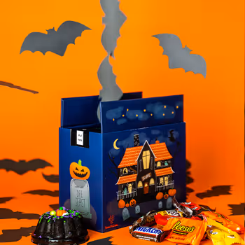Haunted House Bat Surprise 🦇