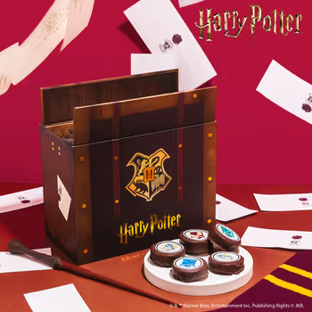 Harry Potter Acceptance Letter Box