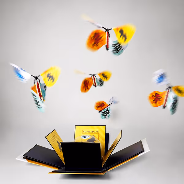 Harry Potter Hufflepuff Explosion Box